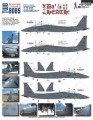 1/72 058: F-15E Da\' Heath